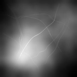 example_image_standard_jpg