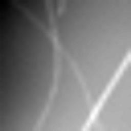 example_image_standard_8x_jpg